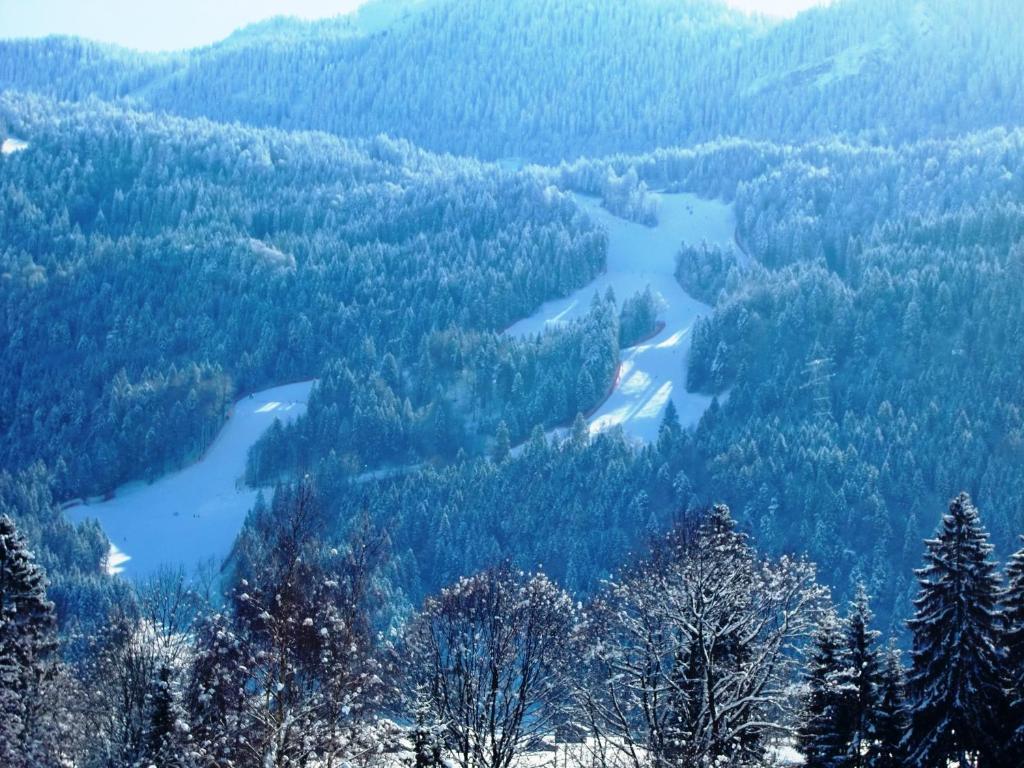 Отель Grainauer Hof Экстерьер фото